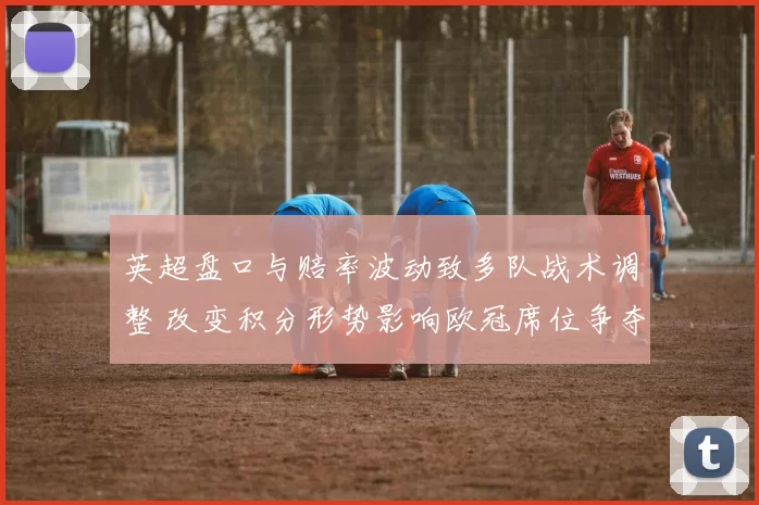 英超盘口与赔率波动致多队战术调整 改变积分形势影响欧冠席位争夺
