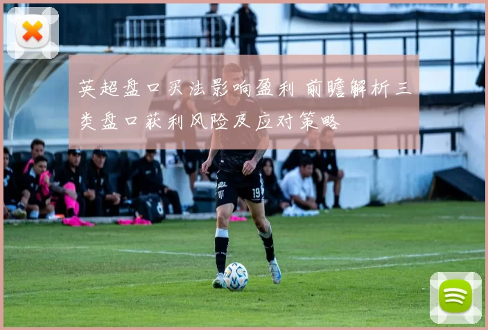 英超盘口买法影响盈利 前瞻解析三类盘口获利风险及应对策略